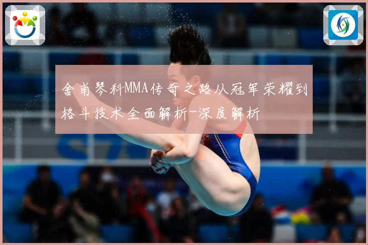 舍甫琴科MMA传奇之路从冠军荣耀到格斗技术全面解析-深度解析