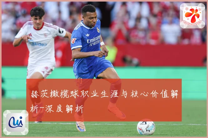 赫茨橄榄球职业生涯与核心价值解析-深度解析