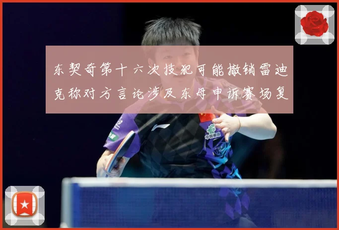 东契奇第十六次技犯可能撤销雷迪克称对方言论涉及东母申诉赛场复盘-深度解析