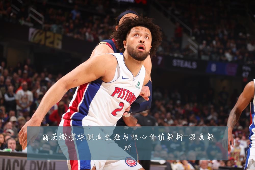 赫茨橄榄球职业生涯与核心价值解析-深度解析